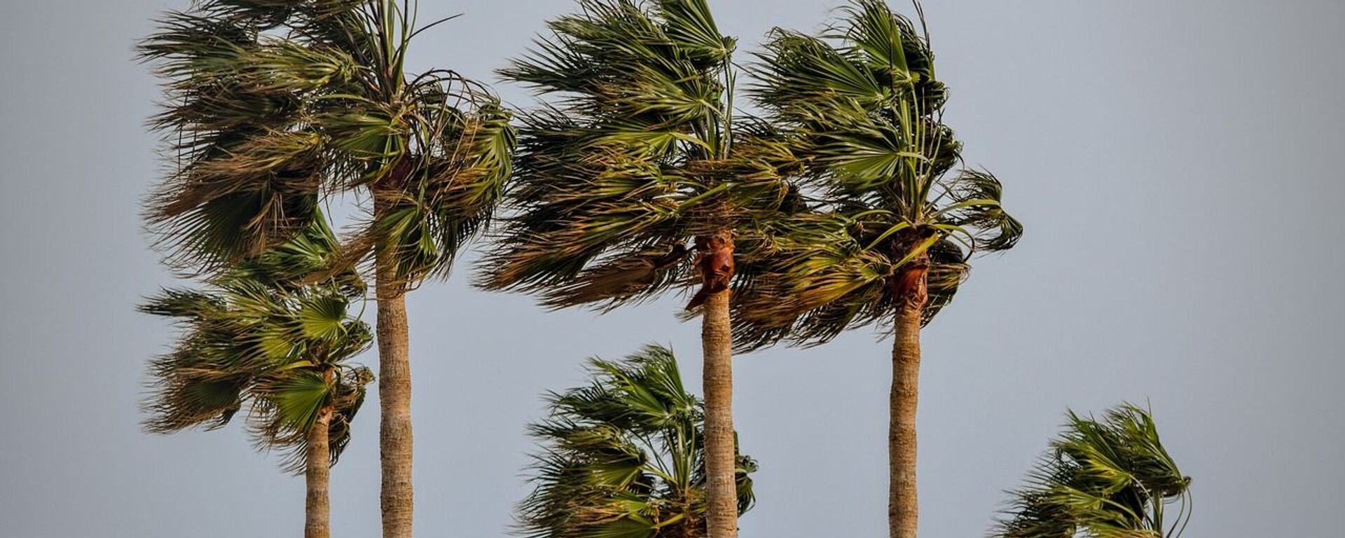 Una tormenta tropical (imagen referencial)  - Sputnik Mundo, 1920, 10.06.2023