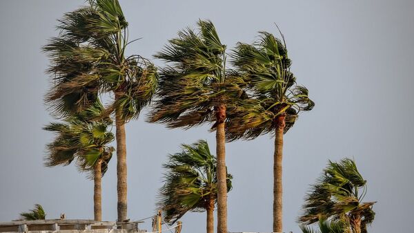 Una tormenta tropical (imagen referencial) - Sputnik Mundo