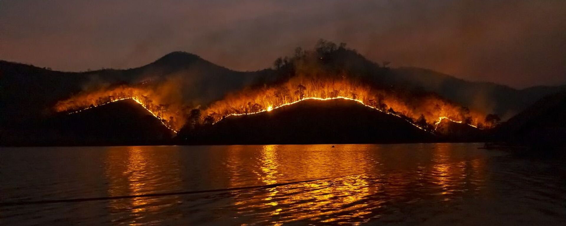 Incendios forestales (imagen referencial) - Sputnik Mundo, 1920, 29.01.2021