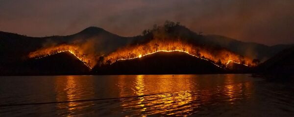Incendios forestales (imagen referencial) - Sputnik Mundo