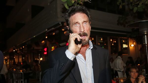 John McAfee, fundador del software antivirus McAfee - Sputnik Mundo