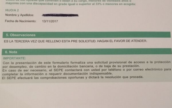 Muestra del formulario que genera el SEPE al realizar la presolicitud - Sputnik Mundo
