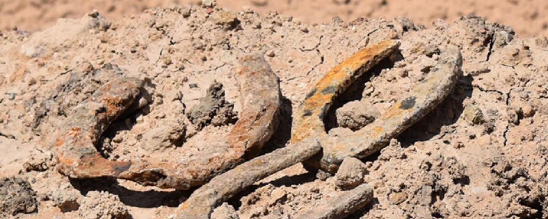 Las herraduras encontradas en el campo de River Plate - Sputnik Mundo, 1920, 07.10.2020