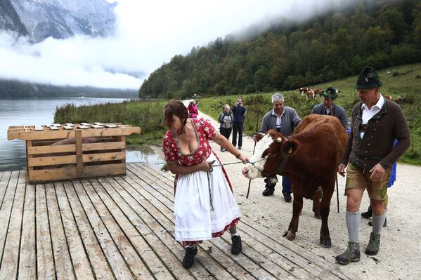 Festivales religiosos, desastres naturales, tensiones políticas en el espacio postsoviético… queda atrás una nueva semana en Sputnik. - Sputnik Mundo