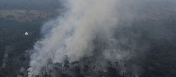 Incendios en la Amazonía brasileña - Sputnik Mundo