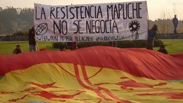 Bandera mapuche - Sputnik Mundo