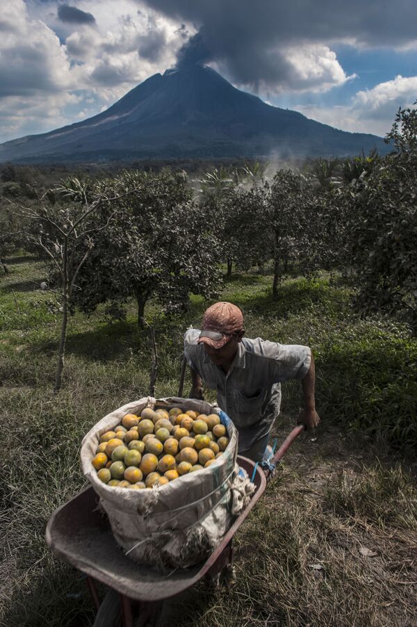 El estratovolcán Sinabung, una verdadera pesadilla para miles de personas

 - Sputnik Mundo