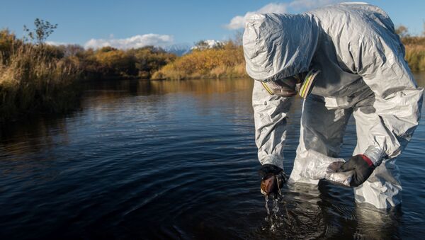 Un especialista de Greenpeace en Kamchatka - Sputnik Mundo