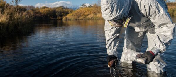 Un especialista de Greenpeace en Kamchatka - Sputnik Mundo