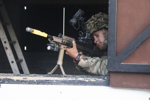 'Malicia de Macaco', la última operación militar en las oscuras cuevas de Gibraltar - Sputnik Mundo