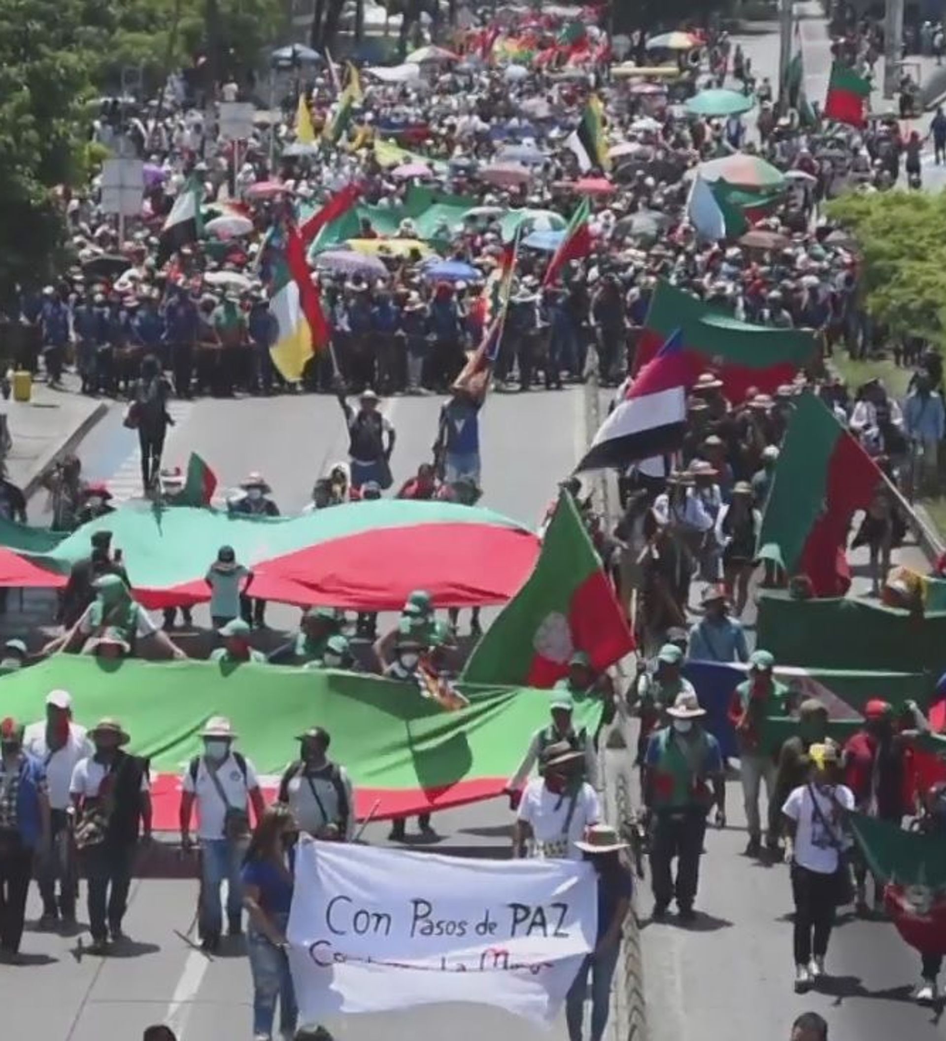 La marcha de Cali: miles de indígenas protestan en Colombia - 15.10. ...