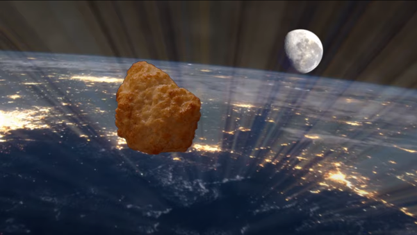 Lanzamiento del primer 'nugget-cosmonauta' al espacio - Sputnik Mundo