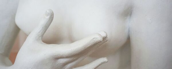 Una estatua - Sputnik Mundo