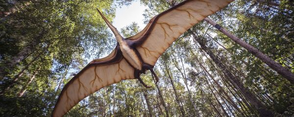 La ilustración de un pterosaurio (archivo) - Sputnik Mundo