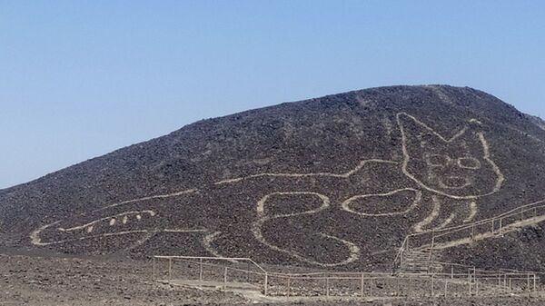 Geoglifo de forma de un felino en las Líneas de Nazca en Perú - Sputnik Mundo