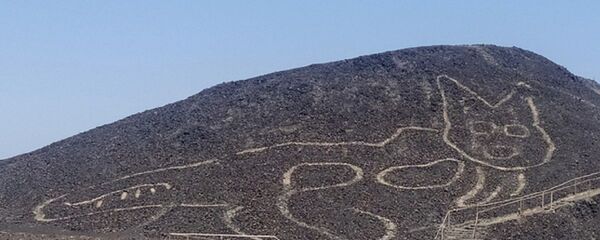 Geoglifo de forma de un felino en las Líneas de Nazca en Perú - Sputnik Mundo