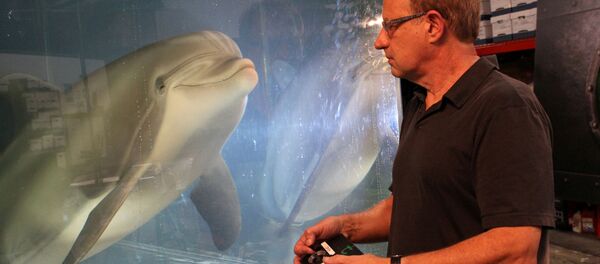 El delfín robótico de Edge Innovations - Sputnik Mundo