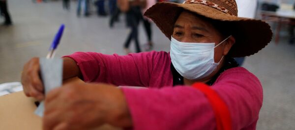 Elecciones presidenciales de Bolivia - Sputnik Mundo