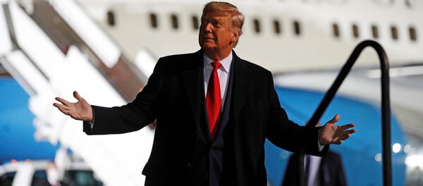 Donald Trump, presidente de EEUU - Sputnik Mundo