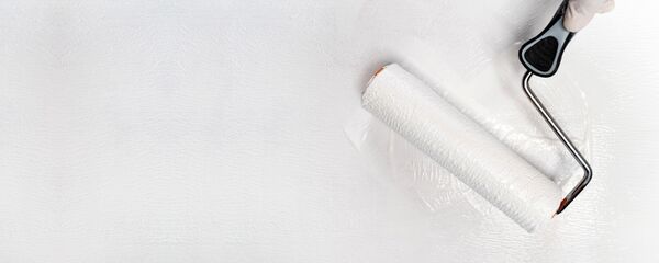 Una pintura blanca - Sputnik Mundo