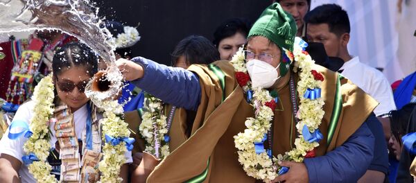 El presidente electo de Bolivia, Luis Arce - Sputnik Mundo