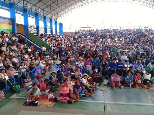 En el Trópico de Cochabamba esperan el regreso de Evo Morales - Sputnik Mundo