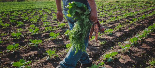 La Unión de Trabajadores/as de la Tierra (UTT) reclama soberanía alimentaria - Sputnik Mundo