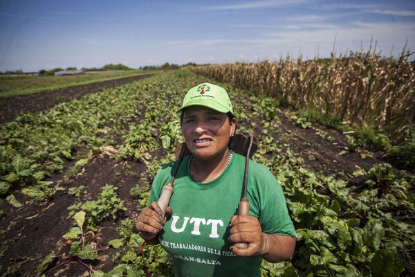 Acceso a la tierra: cómo es el proyecto de ley presentado por campesinos en Argentina - Sputnik Mundo