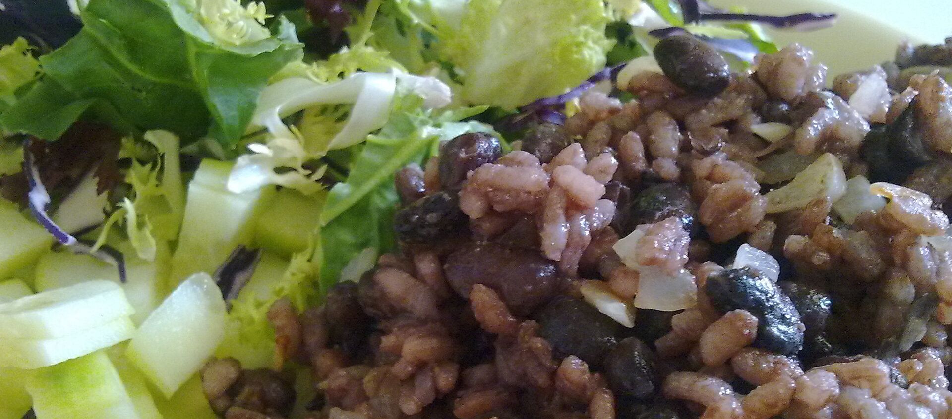 Gallo pinto - Sputnik Mundo, 1920, 27.10.2020