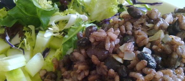 Gallo pinto - Sputnik Mundo