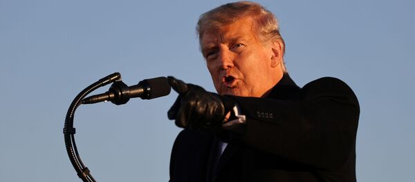 Donald Trump, el presidente de EEUU - Sputnik Mundo