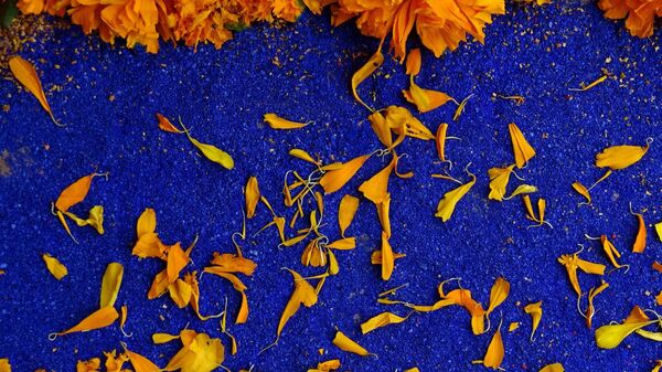 Cempasúchil - Sputnik Mundo