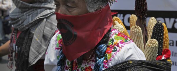 Mujer rural mexicana durante la protesta contra Monsanto - Sputnik Mundo