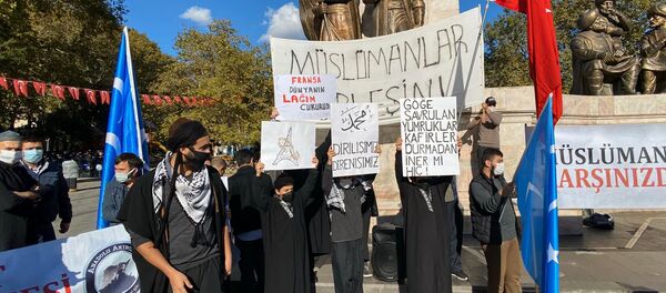 Varios manifestantes se concentran en Estambul para protestar contra Francia y las caricaturas de su profeta Mahoma - Sputnik Mundo