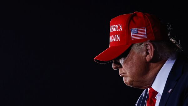 Donald Trump, el presidente de EEUU - Sputnik Mundo