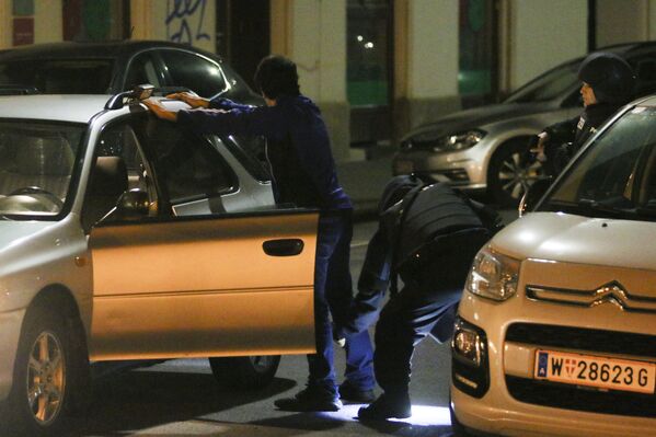 Así vivió Viena la noche de los atentados terroristas - Sputnik Mundo