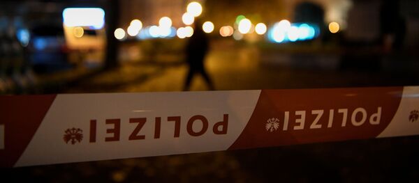 Situación en Viena tras el atentado - Sputnik Mundo