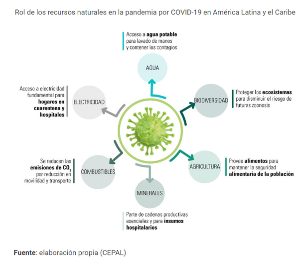 Pandemia en América Latina: sin agua, sin luz y destruyendo la biodiversidad - Sputnik Mundo