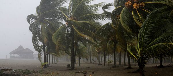 El huracán Eta - Sputnik Mundo