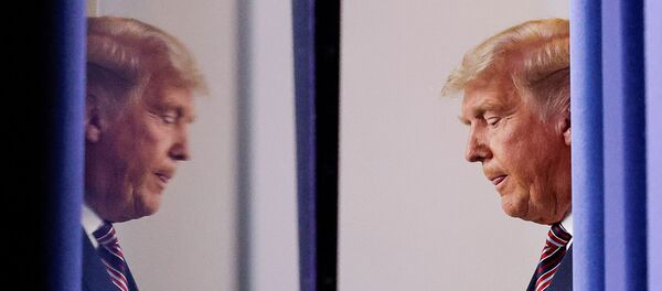 El presidente de EEUU, Donald Trump, en la Casa Blanca, Washinton, EEUU, el 5 de noviembre. - Sputnik Mundo