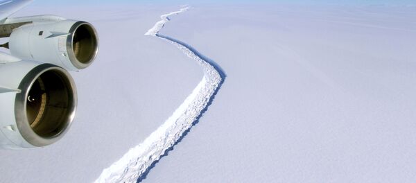 Una grieta en la plataforma de hielo Larsen C de la península Antártica - Sputnik Mundo
