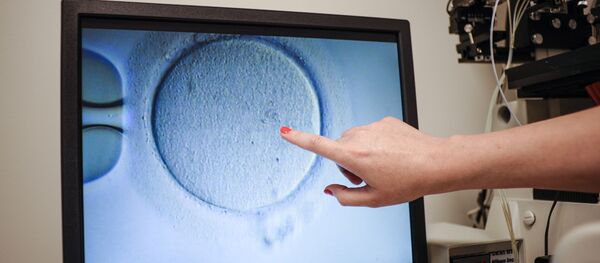 Un ovocito siendo inseminado en una clínica estadounidense - Sputnik Mundo