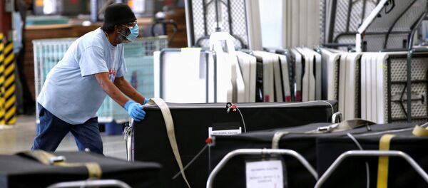 Conteo de votos en Nevada tras las elecciones en EEUU - Sputnik Mundo