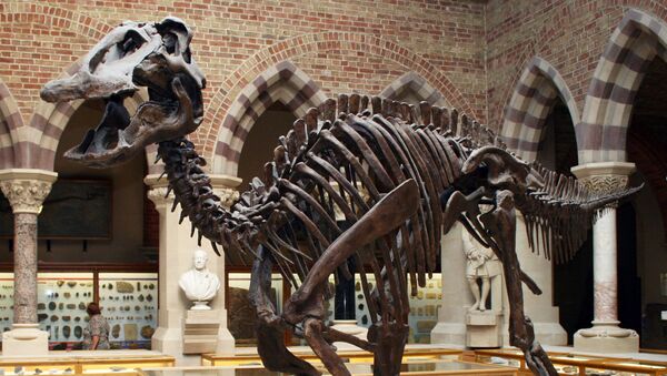 Edmontosaurus,  dinosaurio ornitópodo hadrosáurido - Sputnik Mundo