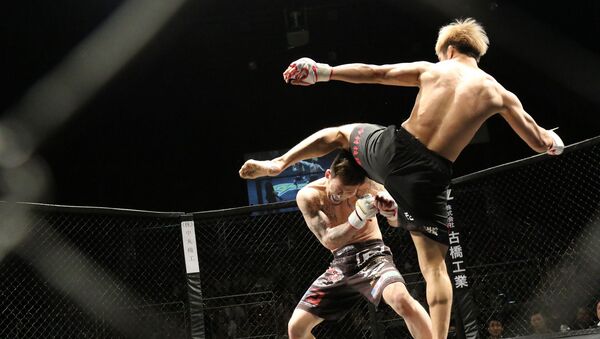 Una pelea de artes marciales mixtas (imagen referencial) - Sputnik Mundo