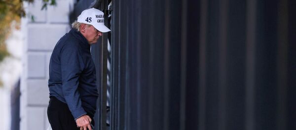 Donald Trump, presidente de EEUU - Sputnik Mundo