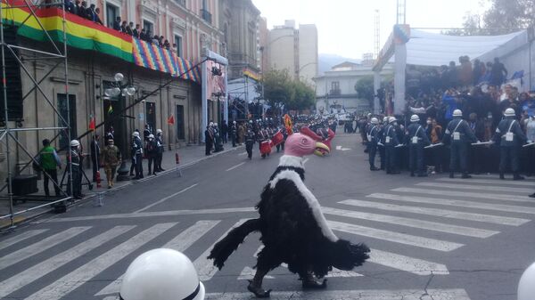 Estalló una fiesta en las calles de La Paz por la recuperación de la democracia | Fotos, vídeos - Sputnik Mundo
