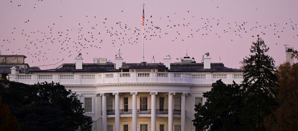 La Casa Blanca en Washington La Casa Blanca en Washington - Sputnik Mundo
