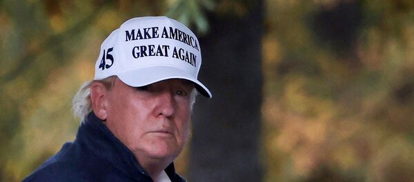 Donald Trump, presidente de EEUU - Sputnik Mundo