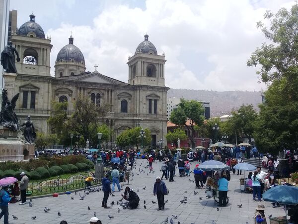 Luis Arce comienza a gobernar por la recuperación económica de Bolivia - Sputnik Mundo